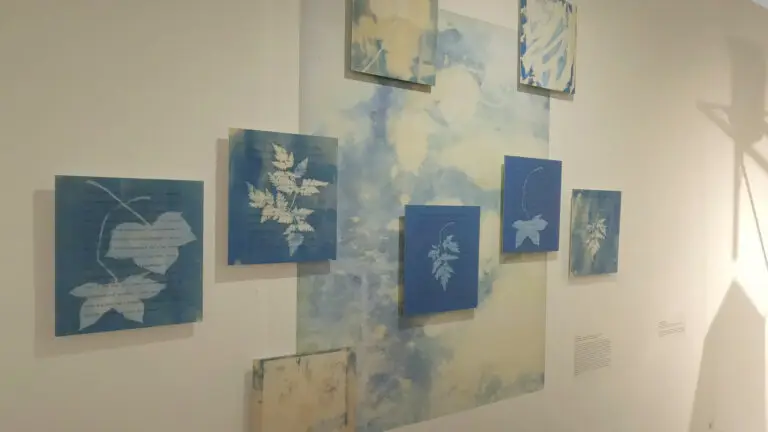 Anna Atkins: Pioneering the Blueprints of Art and Science